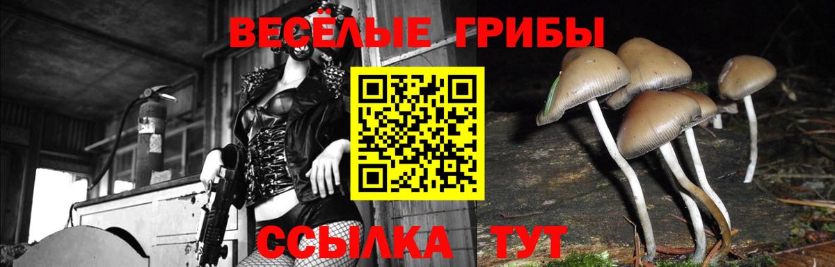Псилоцибиновые грибы прущие грибы  Вход с VPN  Галлюциногенные грибы прущие грибы  Санкт-Петербург 